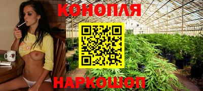 ПСИЛОЦИБИНОВЫЕ ГРИБЫ Коммунар
