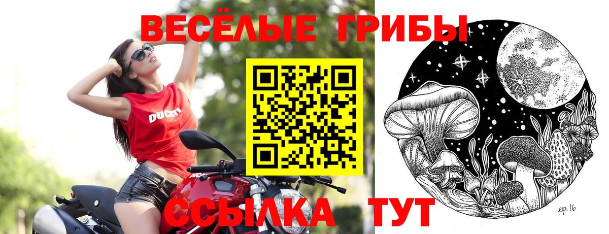 Керчь  Псилоцибиновые грибы Psilocybe  Вход с VPN 